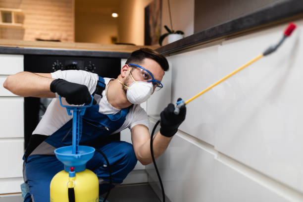 Best Pest Control Near Me  in Hurlock, MD