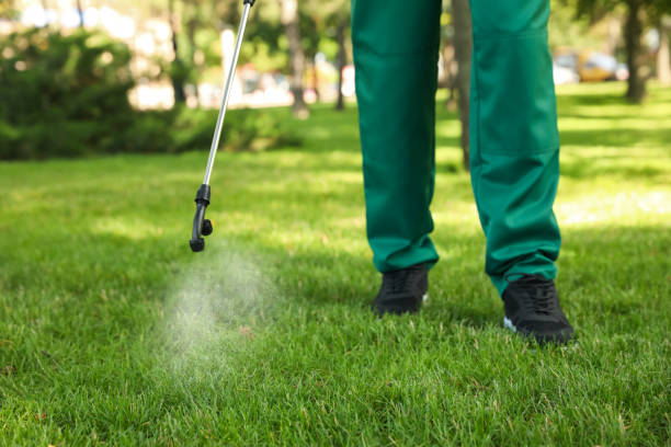 Best Best Pest Control Near Me  in Hurlock, MD