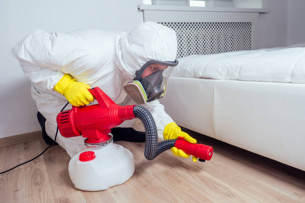 Best Exterminator Services  in Hurlock, MD