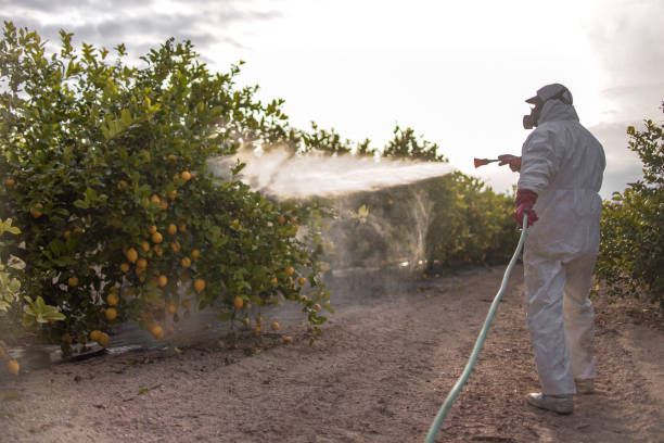 Best Pest Control for Restaurants  in Hurlock, MD