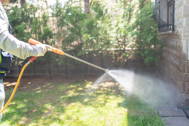 Pest Control Cost in Hurlock, MD